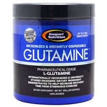  Gaspari Nutrition Glutamine Powder 300 